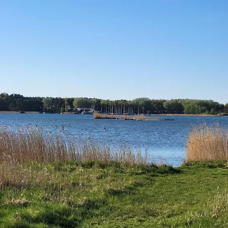 Deine Ruhe Oase Mit Waldblick בית נופש