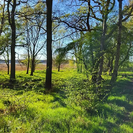 Deine Ruhe Oase Mit Waldblick بيت للعطل